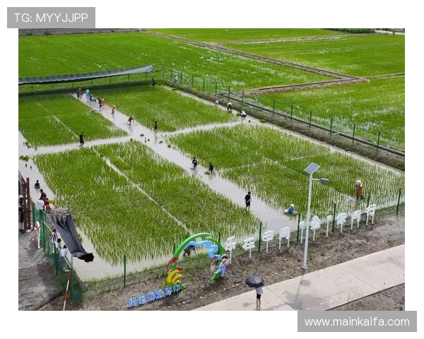 K8电玩娱乐打造多元化的娱乐生态系统,让玩家在游戏中尽情释放激情与快乐 K8电玩娱乐打造多元化的娱乐生态系统,让玩家在游戏中尽情释放激情与快乐